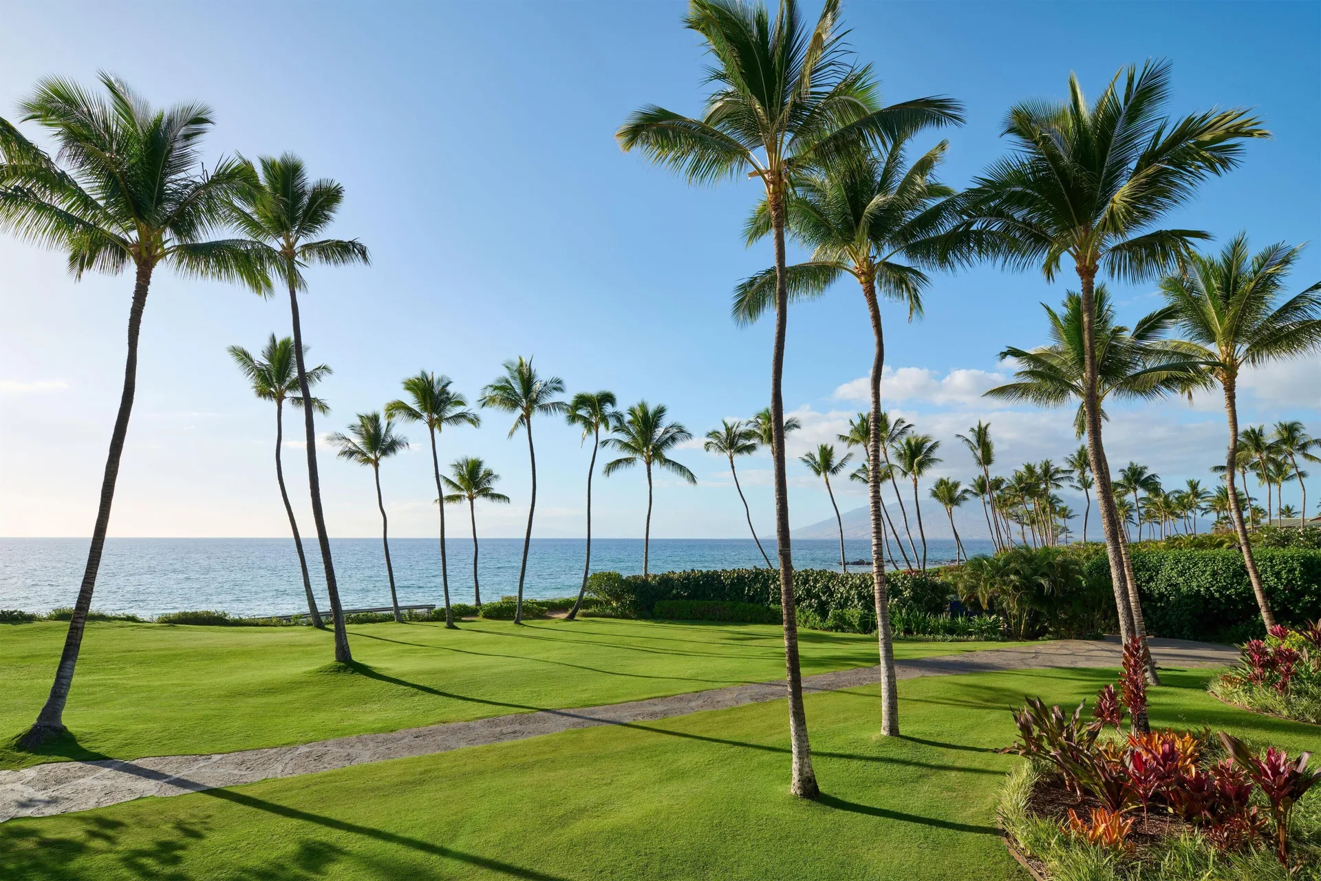Oceanfront lawn with palm trees outside the villa at Andaz Maui at Wailea Resort.