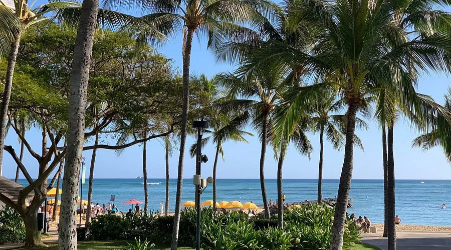 Fort DeRussy near Aqua Palms Waikiki