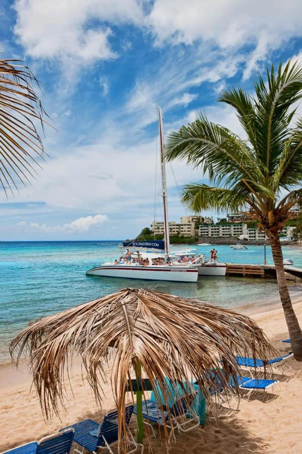 A catamaran docked by the beach with palms and lounge chairs at Bolongo Bay Beach Resort.
