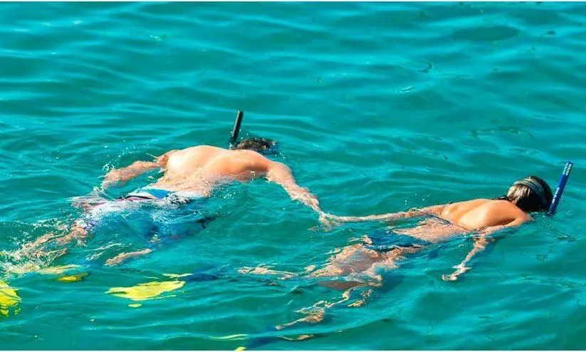 Two snorkelers swim side by side in turquoise water at Bolongo Bay Beach Resort.