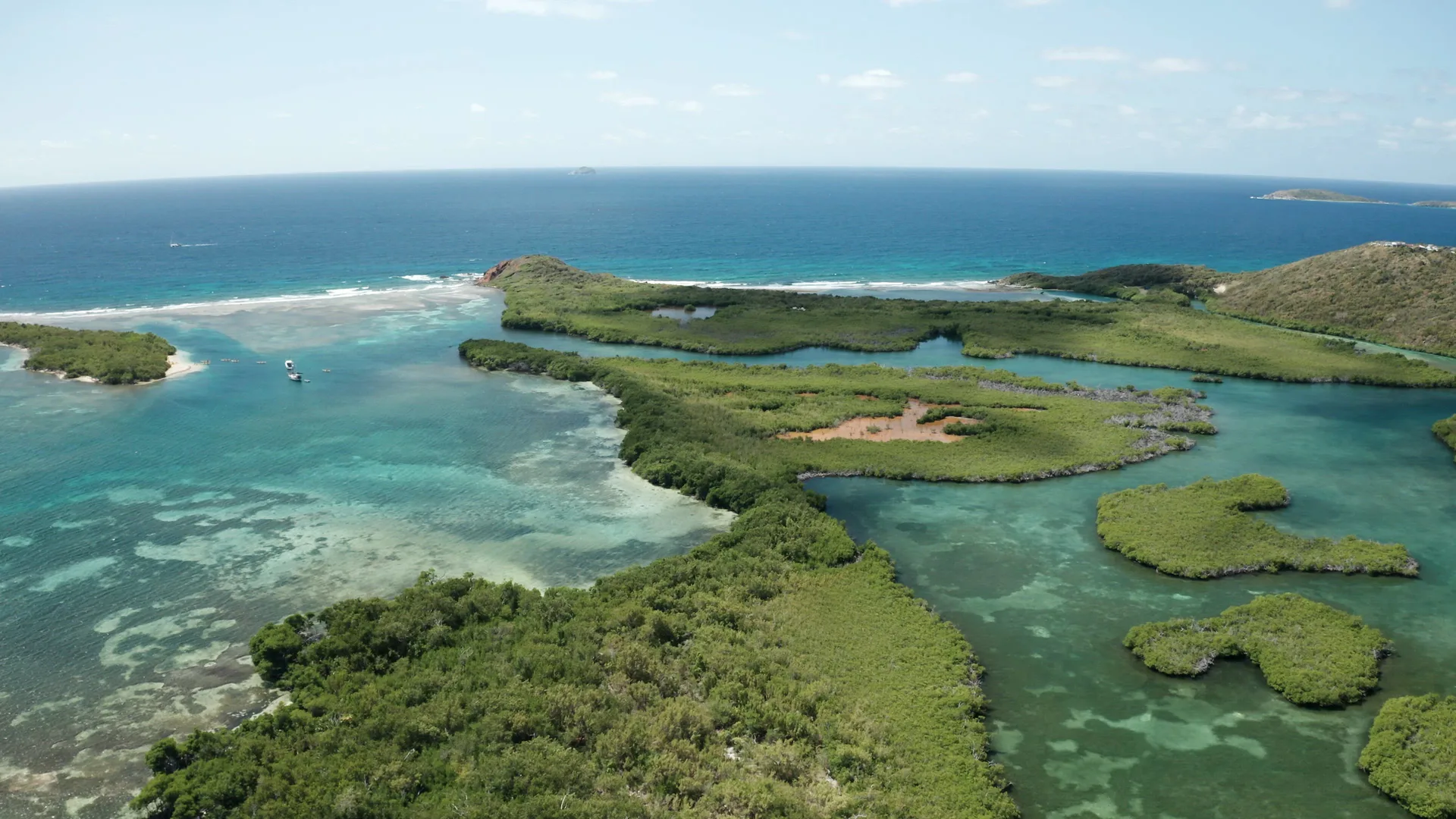 Mangrove Lagoon 5 Min Drive