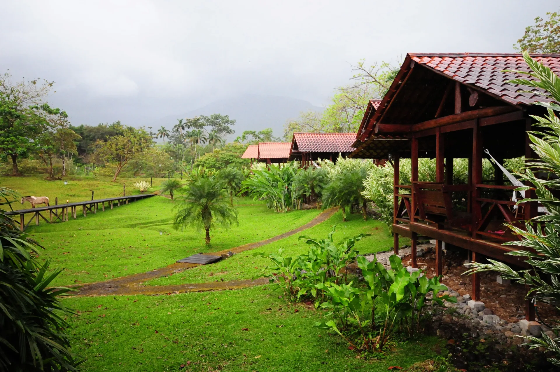 La Anita Rainforest Ranch rural rainforest lodge with cacao tours and nature setting