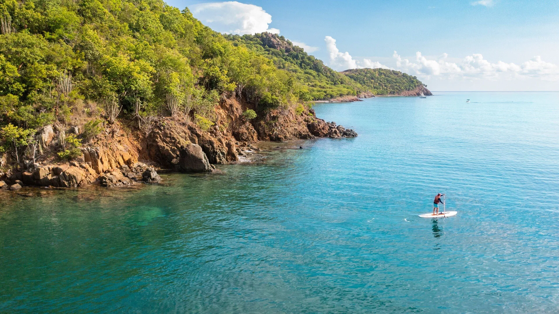 Paddleboarder glides beside a rocky green coastline near Carlisle Bay.