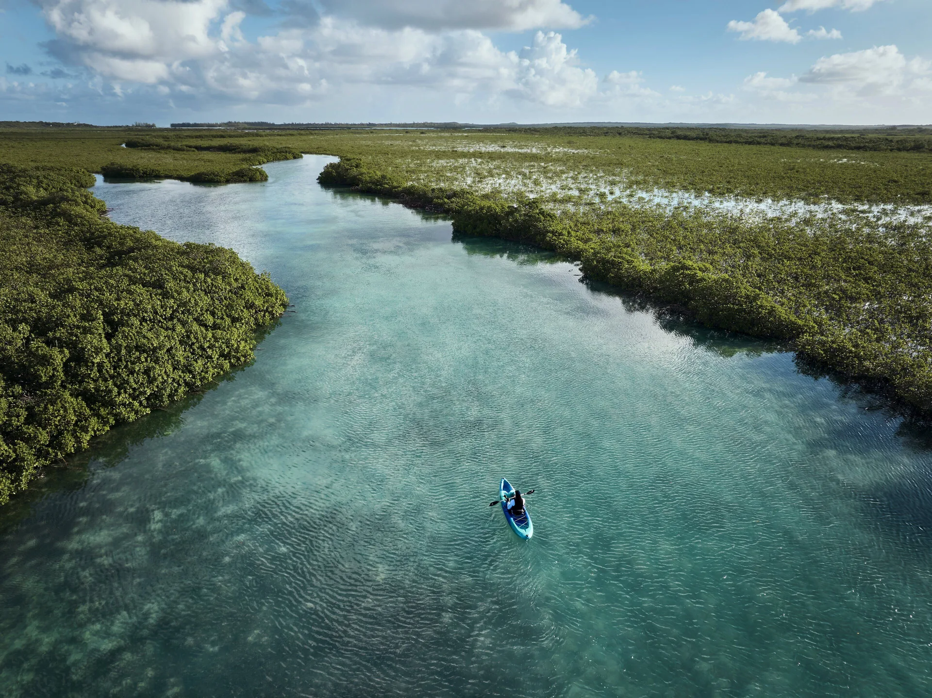 Kayaker paddling through mangrove-lined water near COMO Parrot Cay.