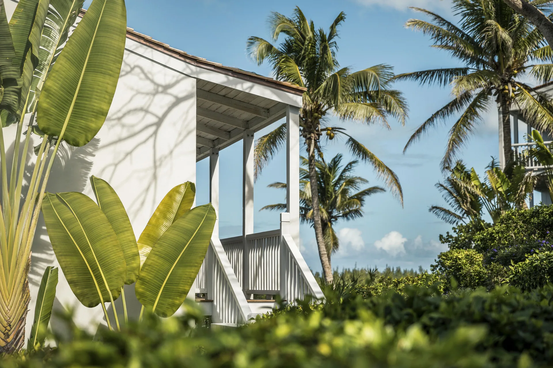 Terrace Room exterior at COMO Parrot Cay framed by palms and tropical planting.