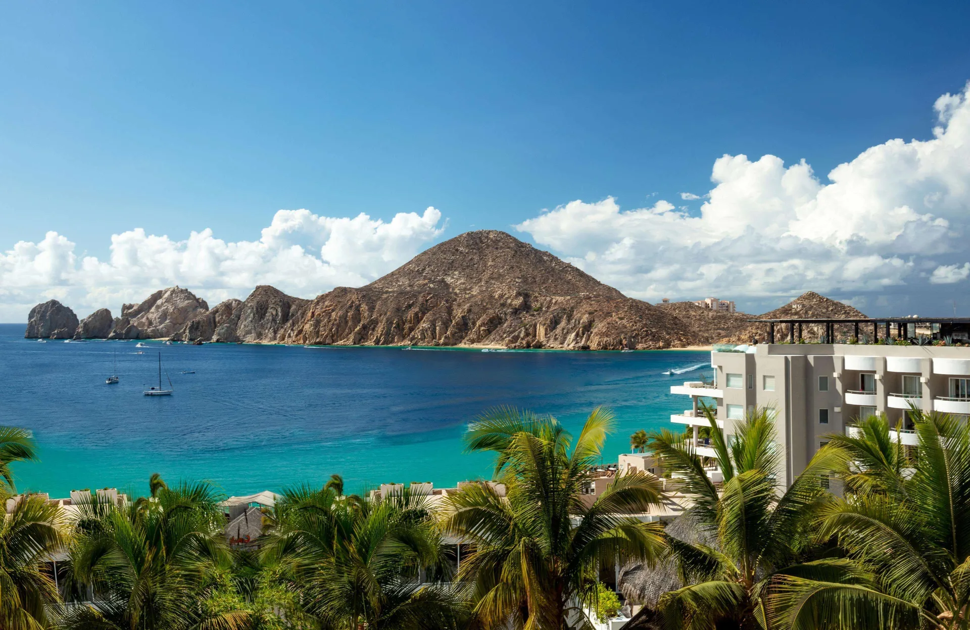 Infinity Ocean View bay scene with palms and rocky headland at Corazón Cabo.