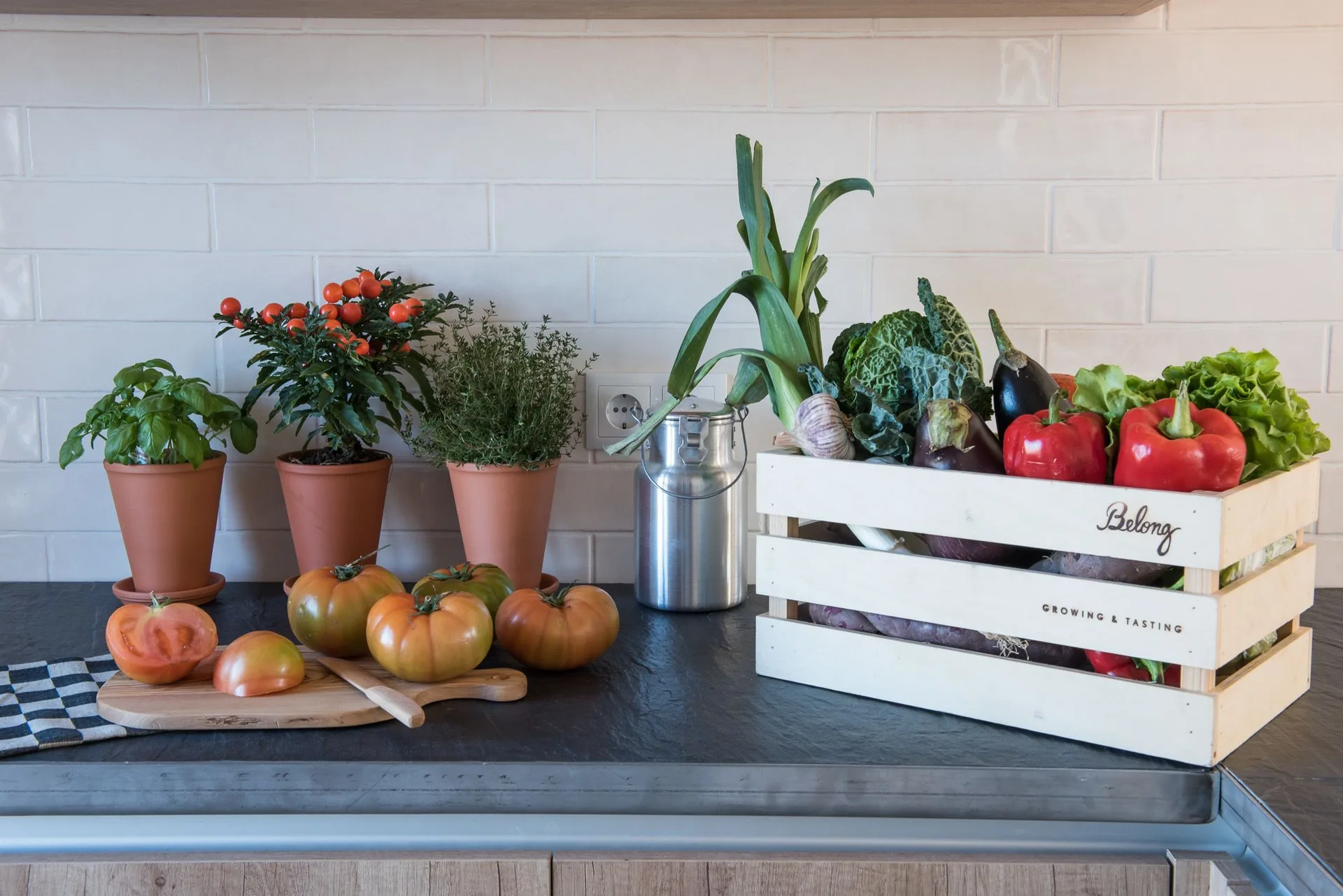 Fresh vegetables, herbs, and tomatoes on a kitchen counter at Craveiral Farmhouse.