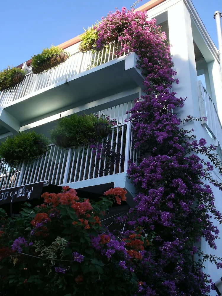 White balconies with cascading purple flowers at Cruz Bay Boutique Hotel.