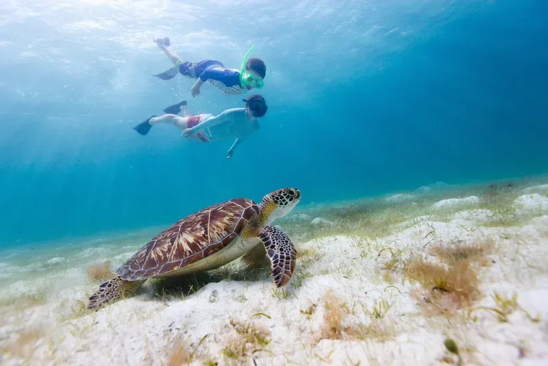 St John Eco Hike & Snorkel Adventure near Cruz Bay Boutique Hotel