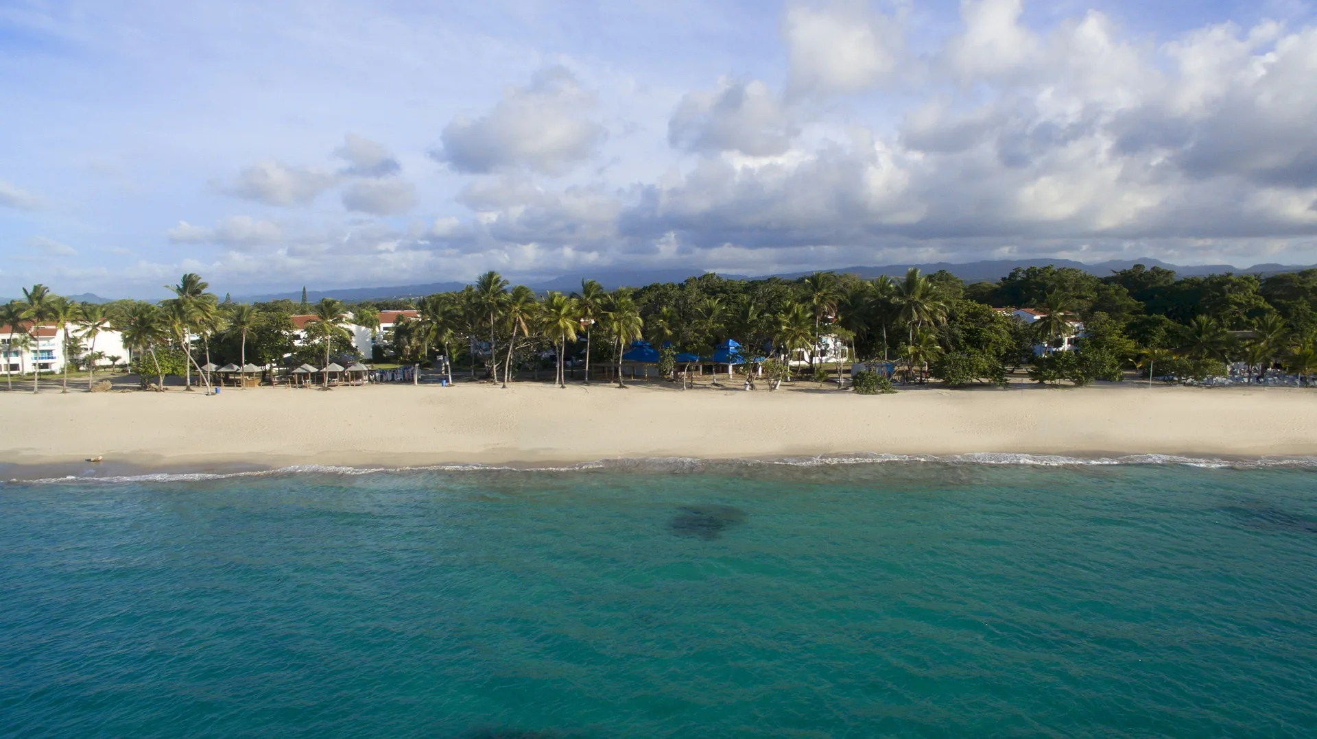 Aerial beachfront with palms and turquoise water at Emotions by Hodelpa Puerto Plata.