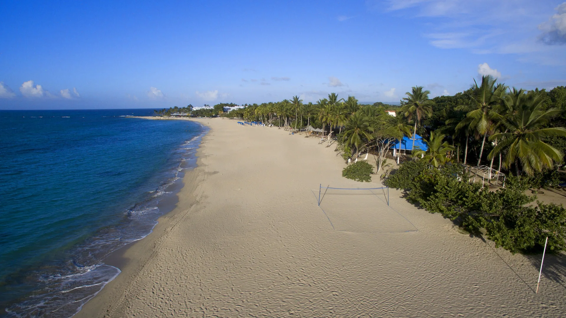 Aerial view of the sandy beachfront and palm-lined shore at Emotions by Hodelpa Puerto Plata.
