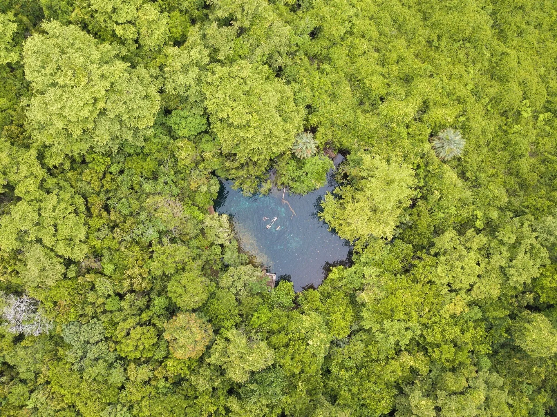 Aerial view of a blue swimming hole in dense greenery near Four Points Puntacana Village.