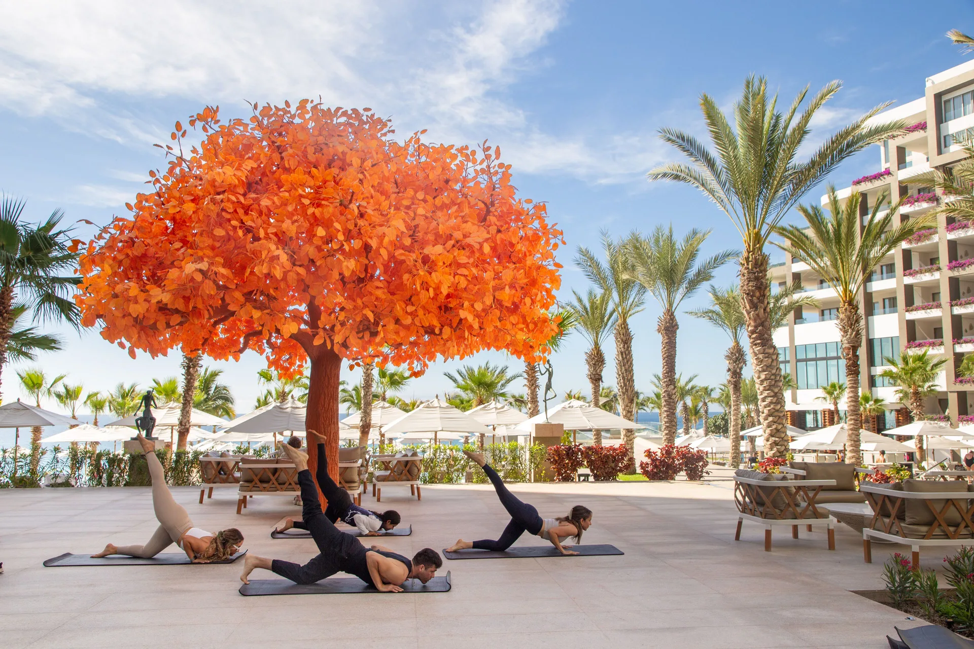 Group yoga session on the resort terrace at Garza Blanca Los Cabos.