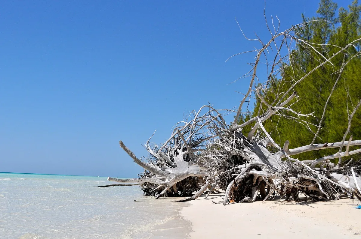 Lucayan Archipelago 1 Min Walk