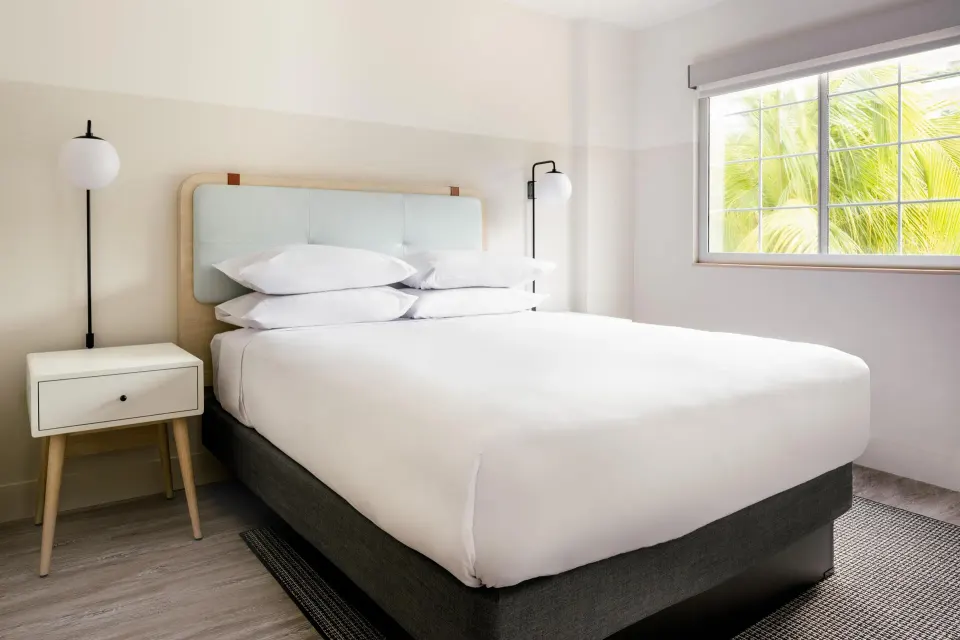 Standard room king bed with palm-framed window at Hampton by Hilton Grand Cayman Seven Mile Beach.