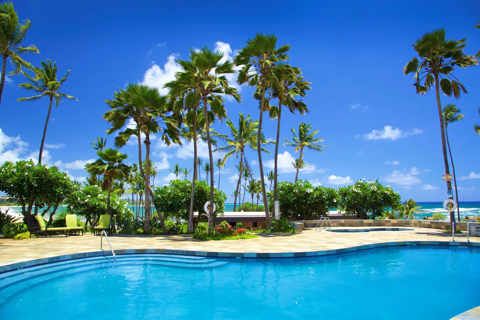 Daytime pool with palm trees and ocean backdrop at Hilton Garden Inn Kauai Wailua Bay.
