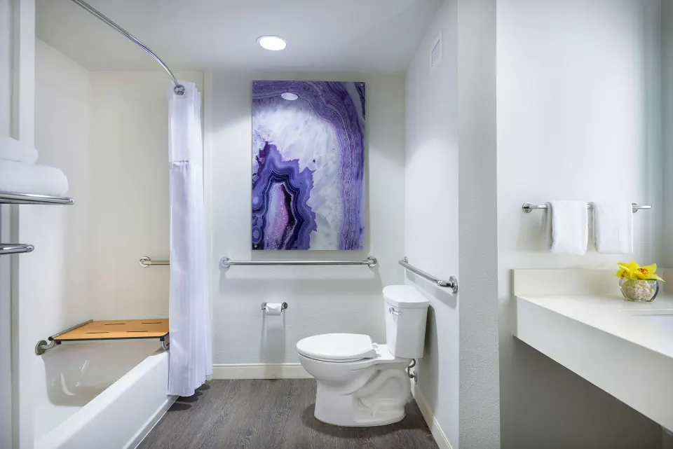 Accessible bathroom with grab bars and tub at Hilton Garden Inn Kauai Wailua Bay.
