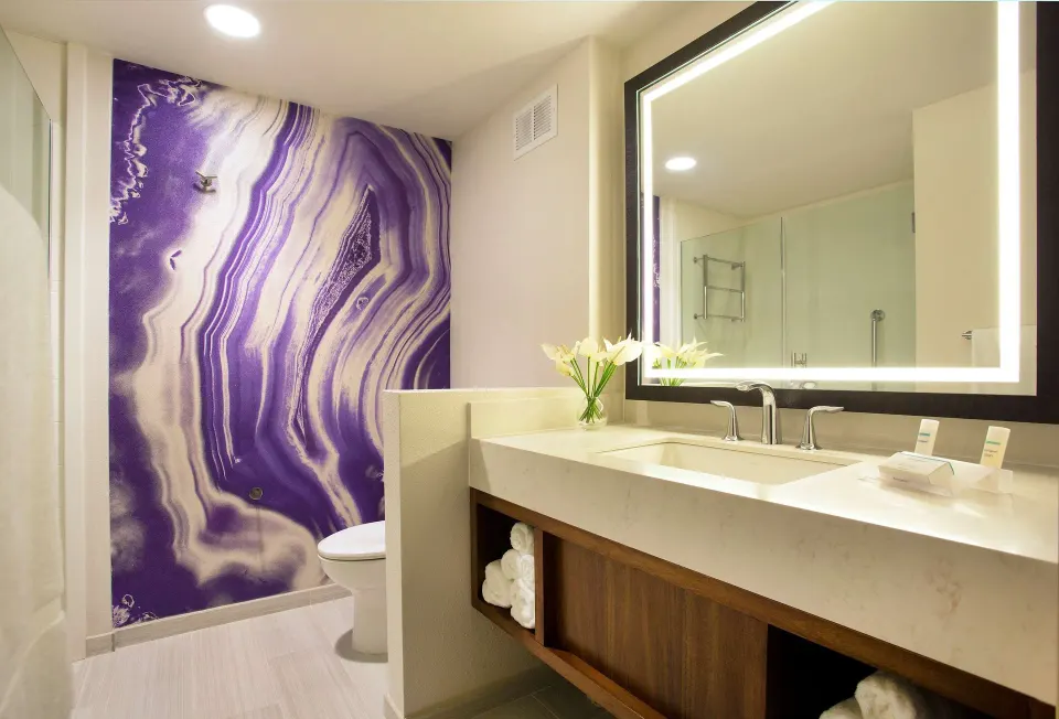 Accessible bathroom vanity and shower area at Hilton Garden Inn Kauai Wailua Bay.