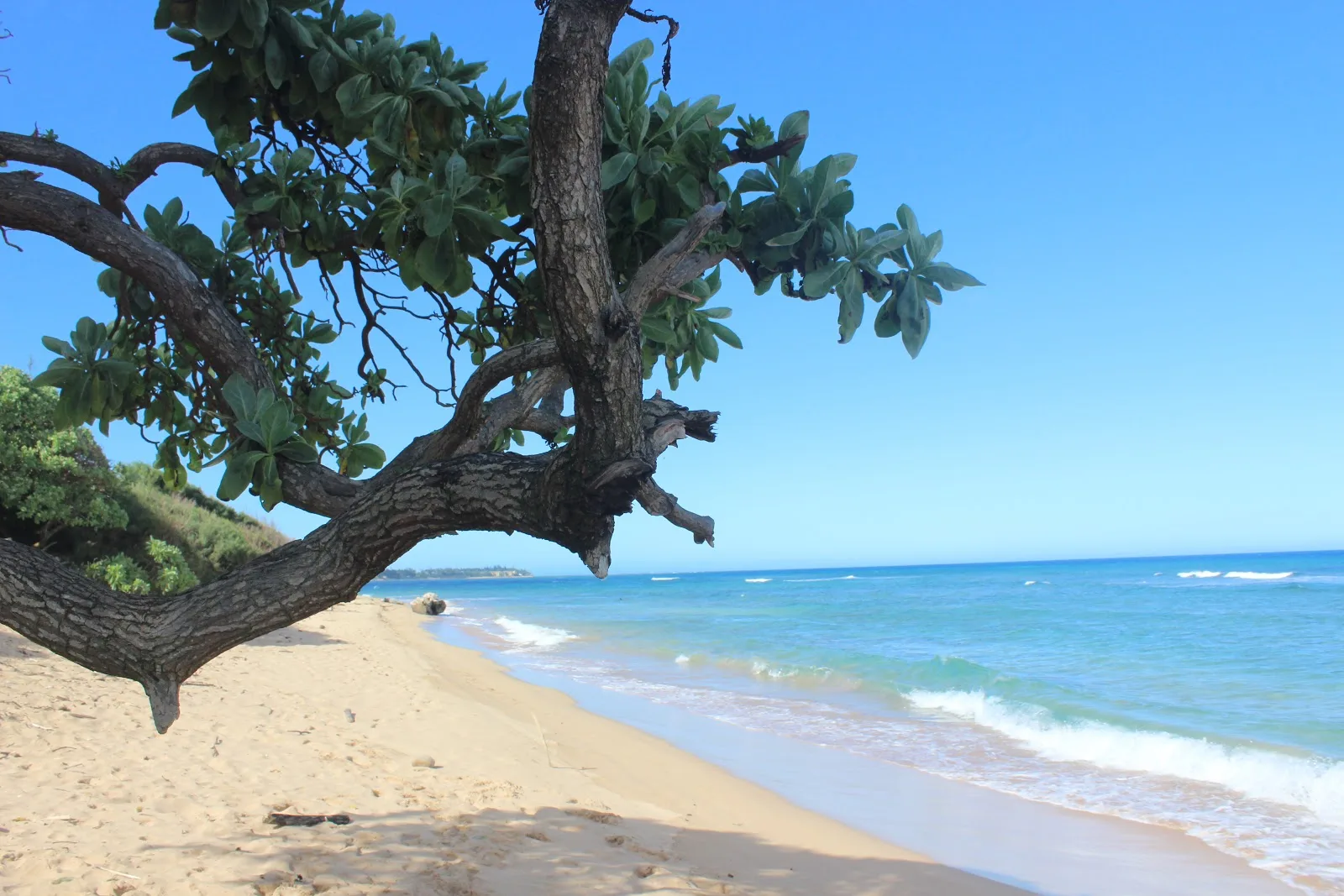 Kitchens Beach 10 Min Walk