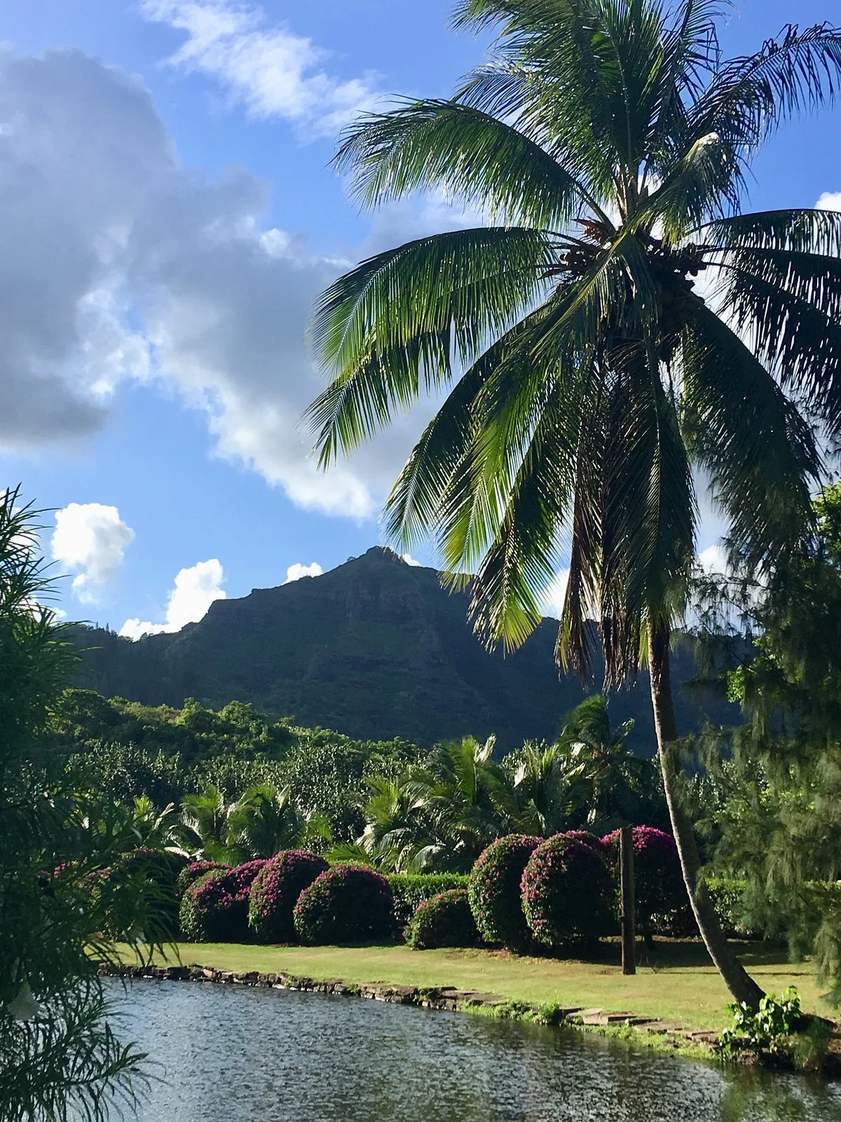 Smith S Tropical Paradise 10 Min Walk