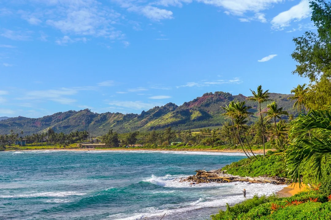 Wailua Beach 5 Min Walk