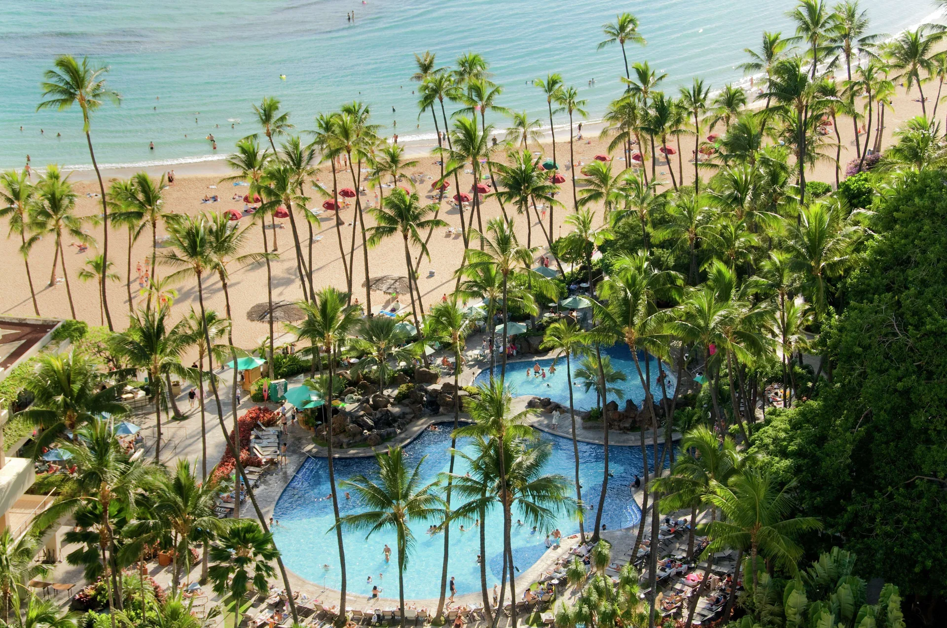 Beachfront pool, palm trees, and Waikiki shoreline at Hilton Hawaiian Village Waikiki Beach Resort.