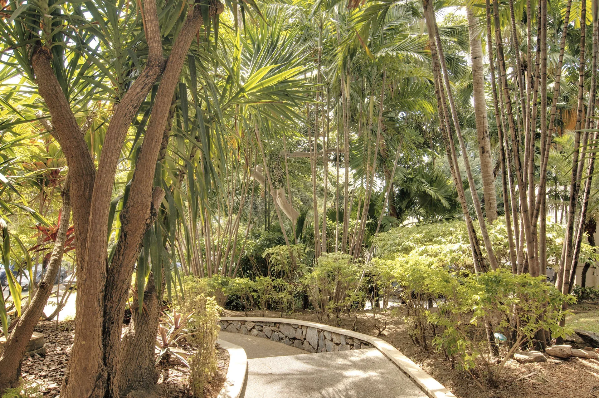 Garden pathway through tropical landscaping at Hilton Trinidad & Conference Centre.