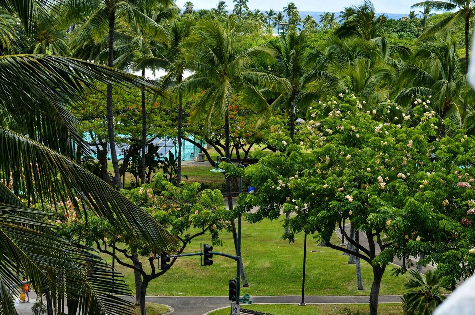 Tree-filled view toward the ocean from a Premium Kalakaua Haus Kitchenette room at Hotel La Croix.