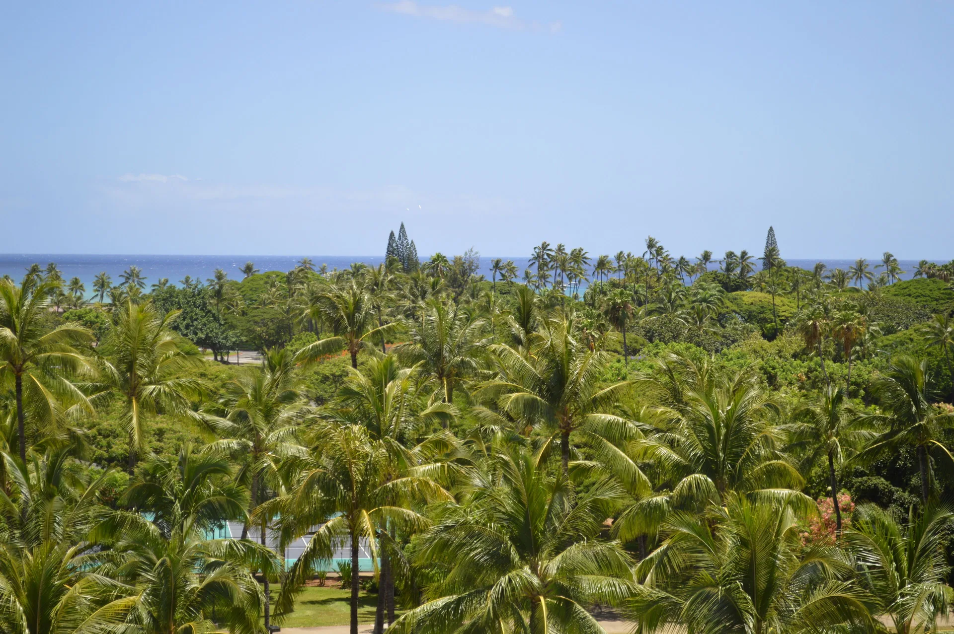 Ocean view over palm trees from a guest room at Hotel La Croix.