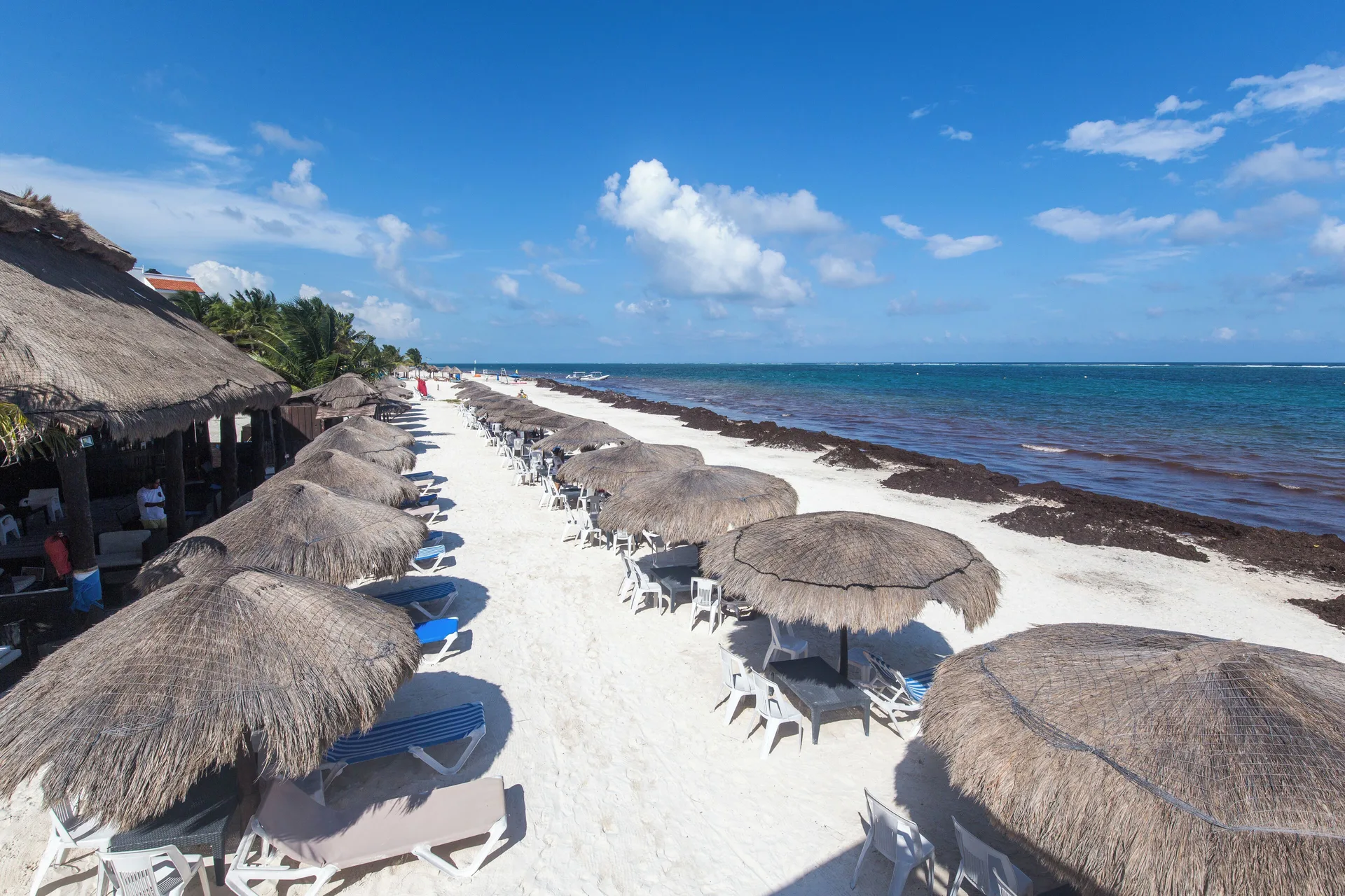 Ojo De Agua Beach 5 Min Drive