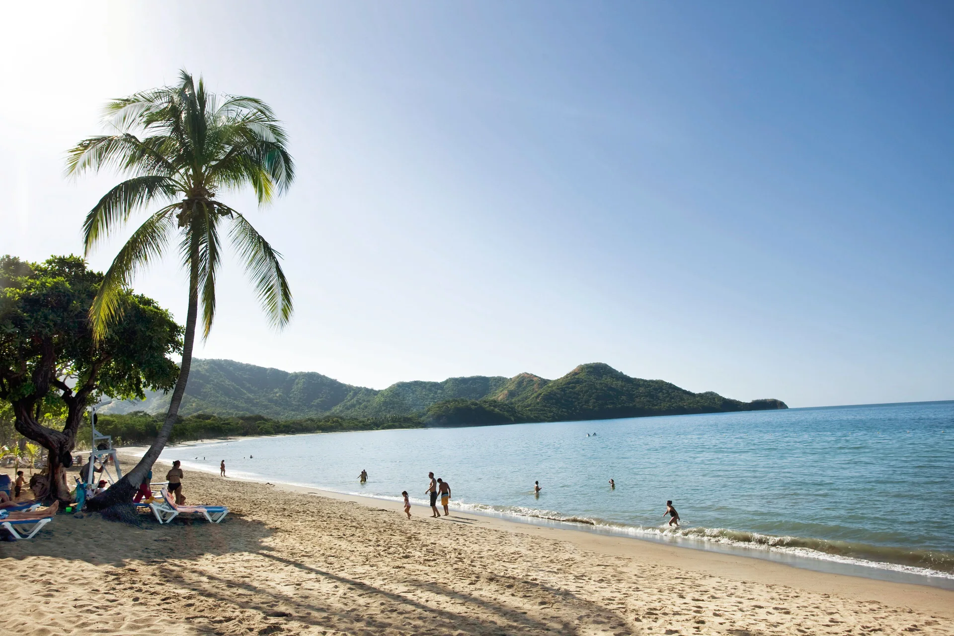 Palm-lined beach with swimmers near Hotel Riu Guanacaste.