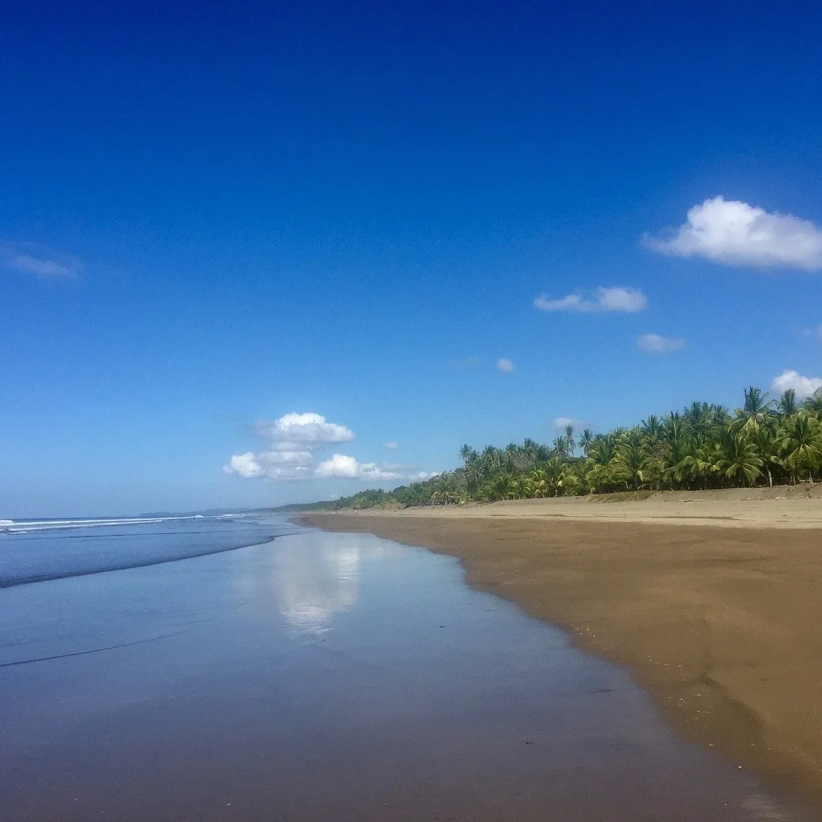 Playa Matapalo 5 Min Walk