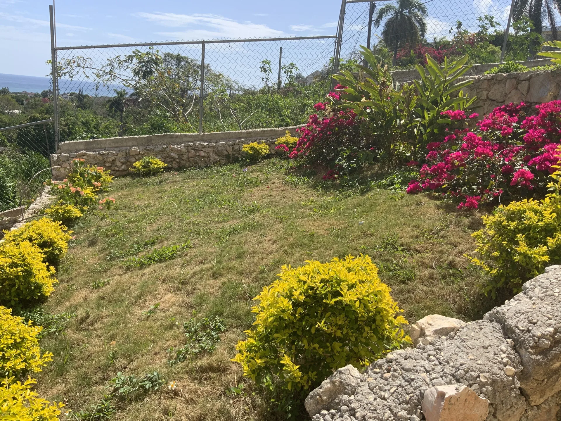 Poinciana House Montego Bay guest accommodation with home-style setting and relaxed island atmosphere