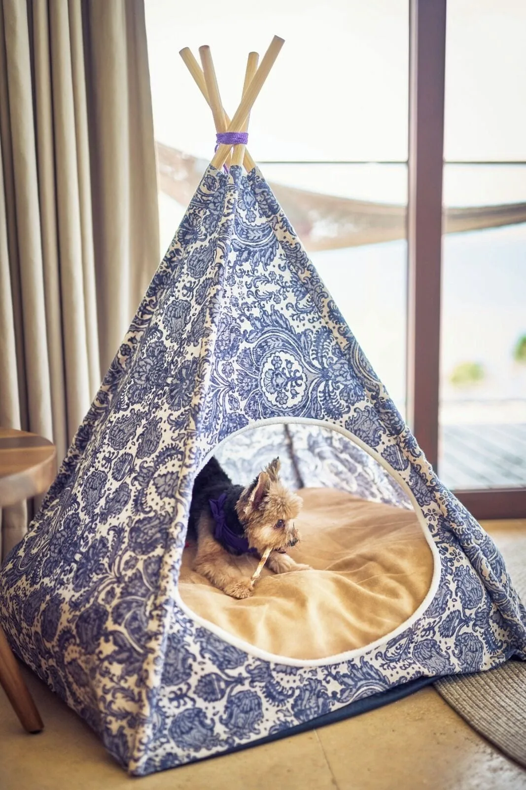 Small dog in a patterned teepee inside a guest room at Hotel Xcaret Arte.
