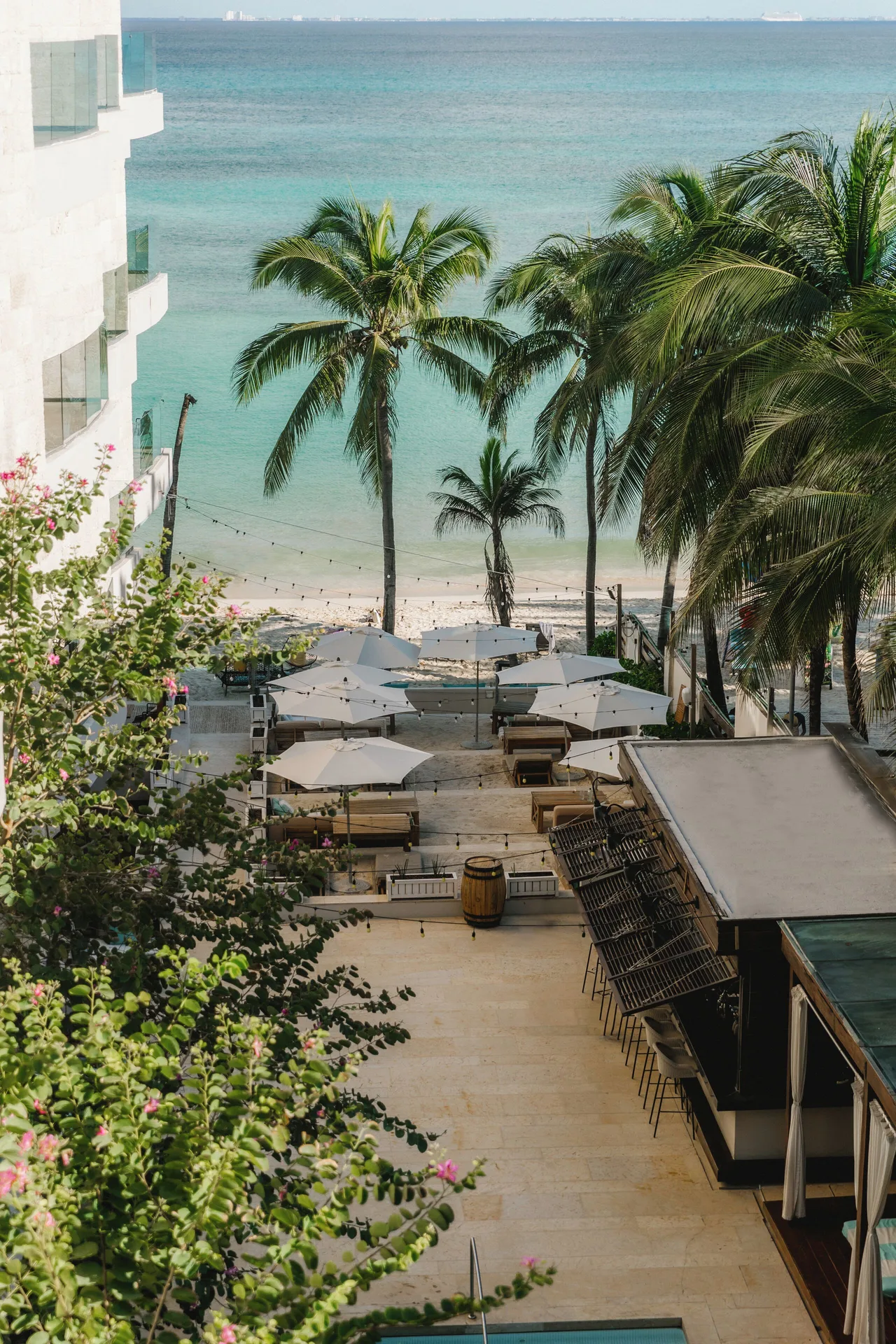 Beach terrace and palm-lined ocean view at Hyatt Centric Playa del Carmen - Downtown House & Beach House.