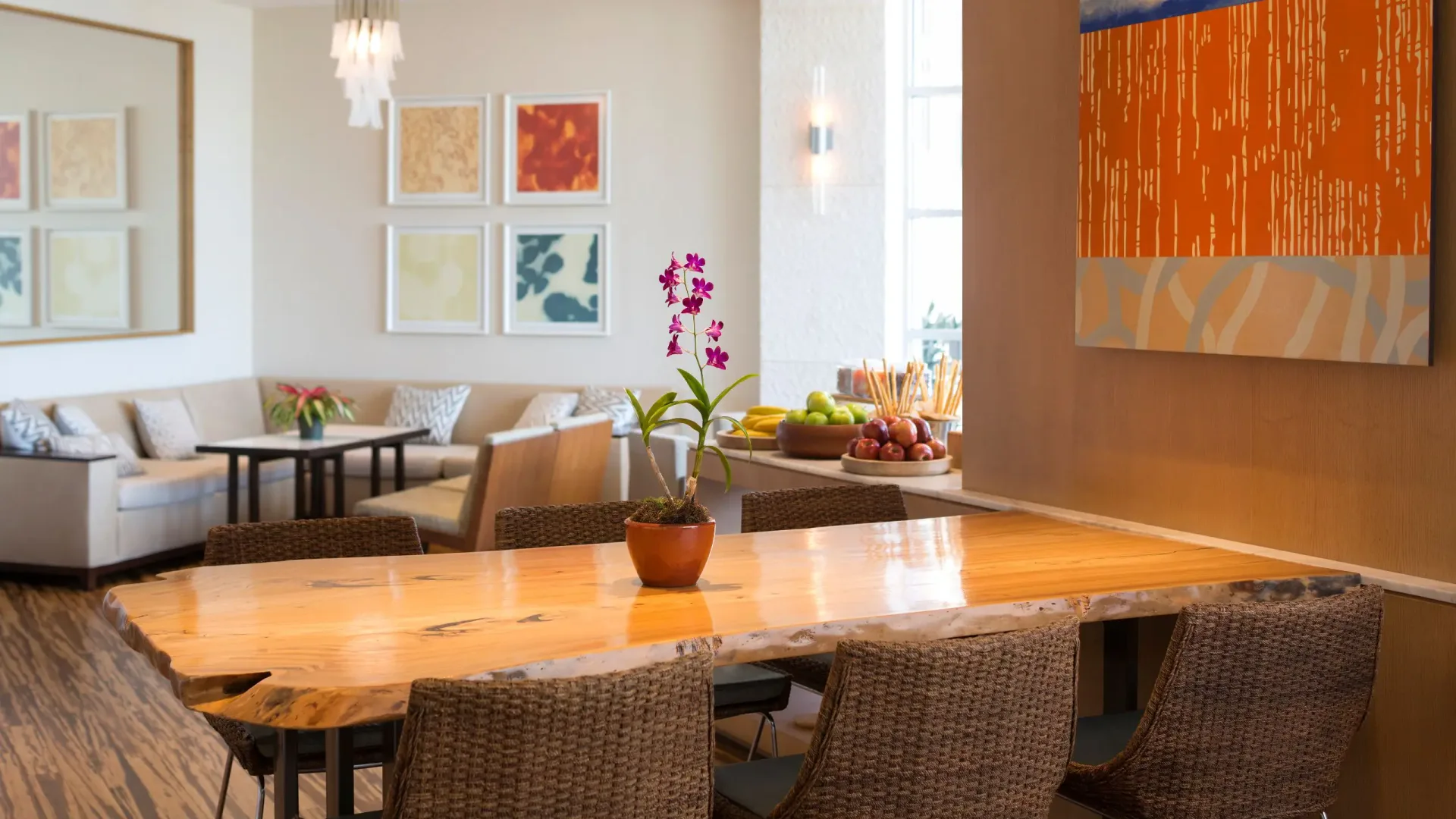 Tucker & Bevvy at Hyatt Regency Waikiki Beach Resort & Spa