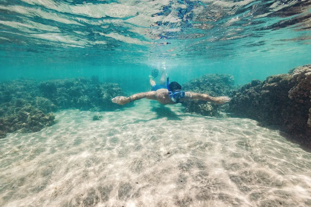 Snorkeler swimming over coral and sand near Hyatt Vacation Club at Ka'anapali Beach.