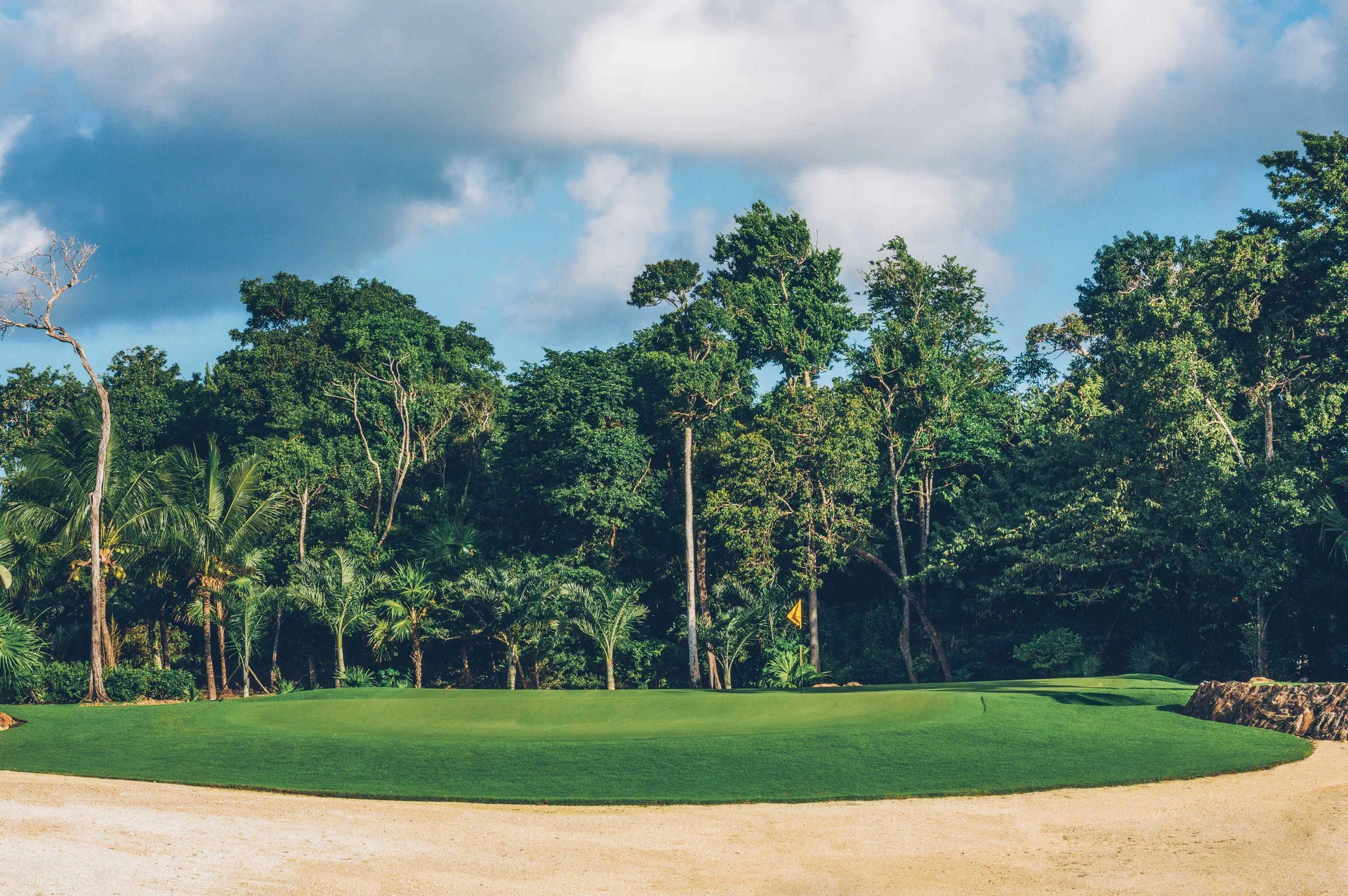 Golf green bordered by dense palms near Iberostar Waves Paraíso del Mar.
