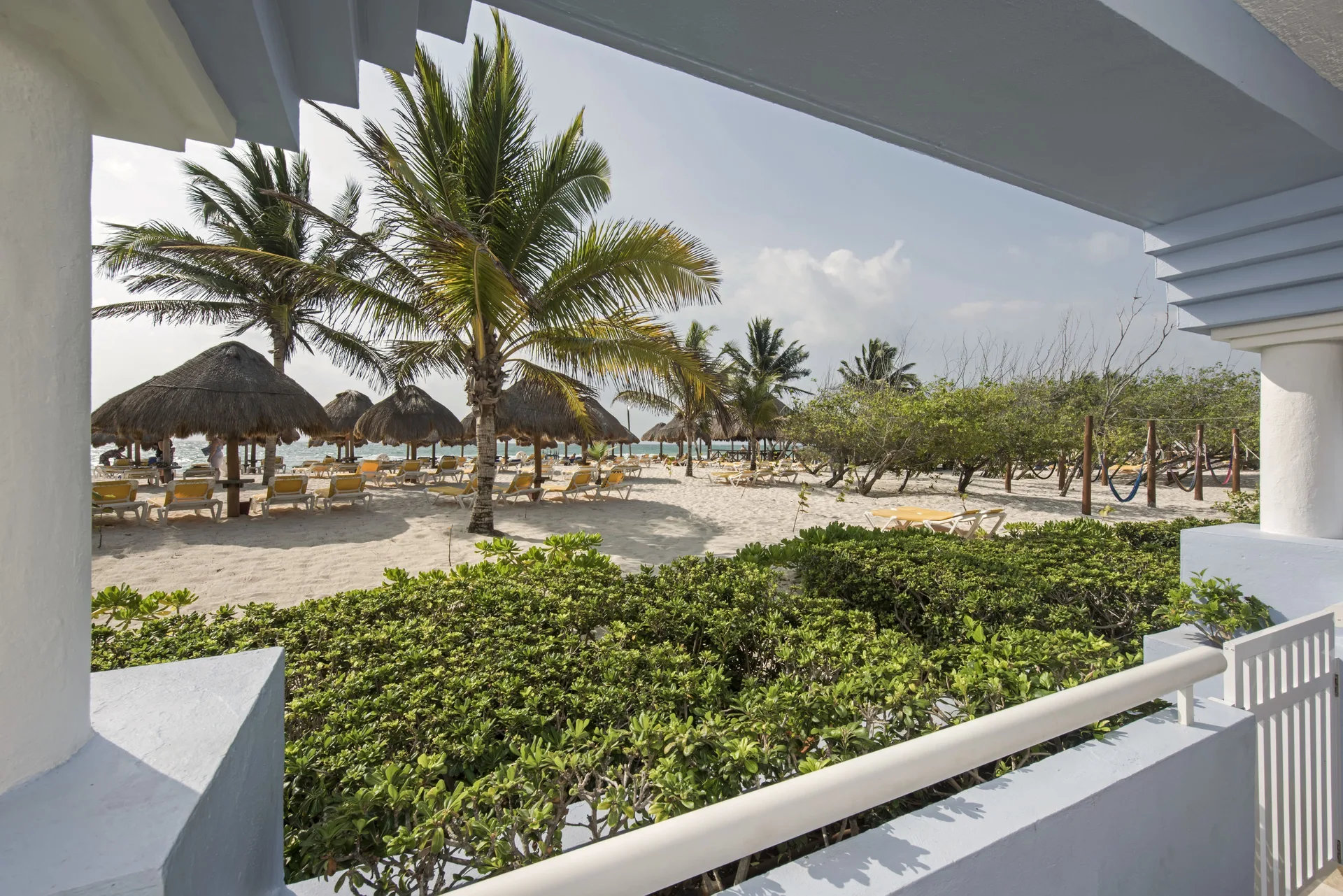 Oceanfront terrace view of beach palms at Iberostar Waves Paraíso del Mar.