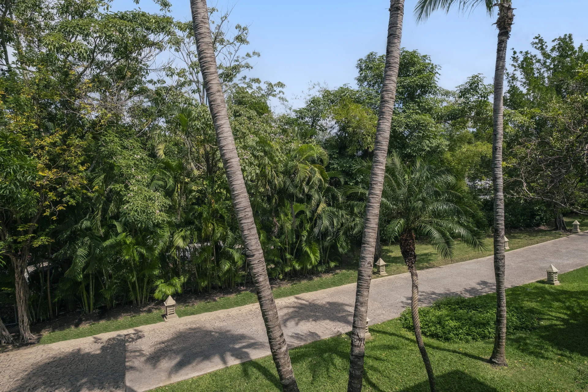 Palm trees and a garden path seen from a Premium Room poolside at Iberostar Waves Paraíso del Mar.