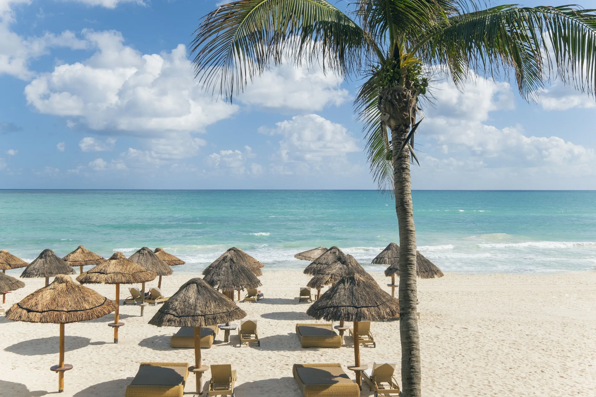 Oceanfront Suite beach view with palapas, palm tree and turquoise sea at JOIA Paraíso by Iberostar.