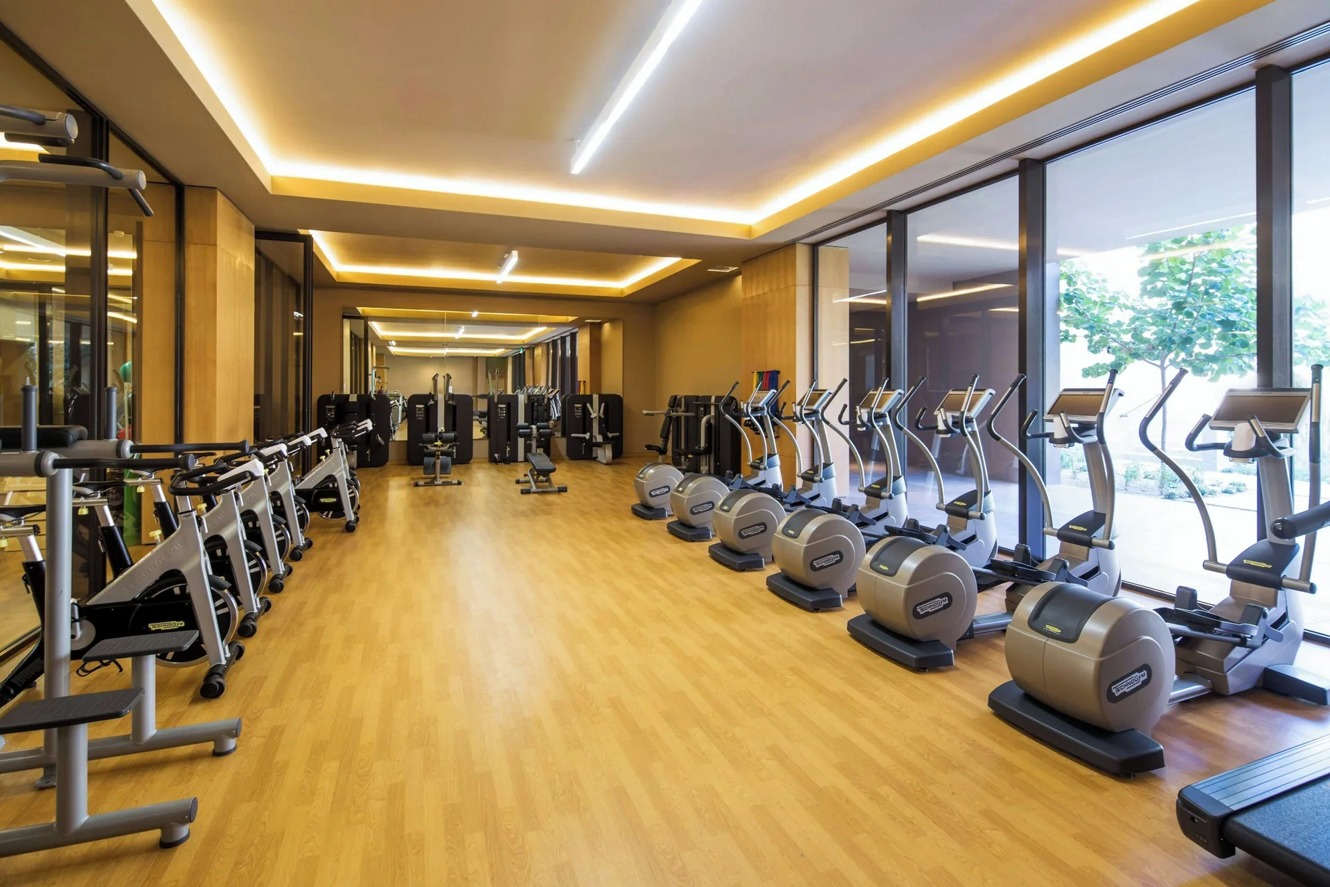 Cardio machines beside tall windows in the gym at JW Marriott Los Cabos Beach Resort & Spa.