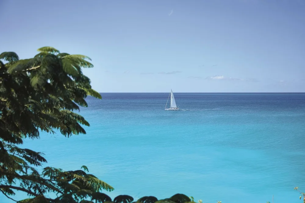 Turquoise ocean with a sailboat seen past trees at La Samanna, St Martin.