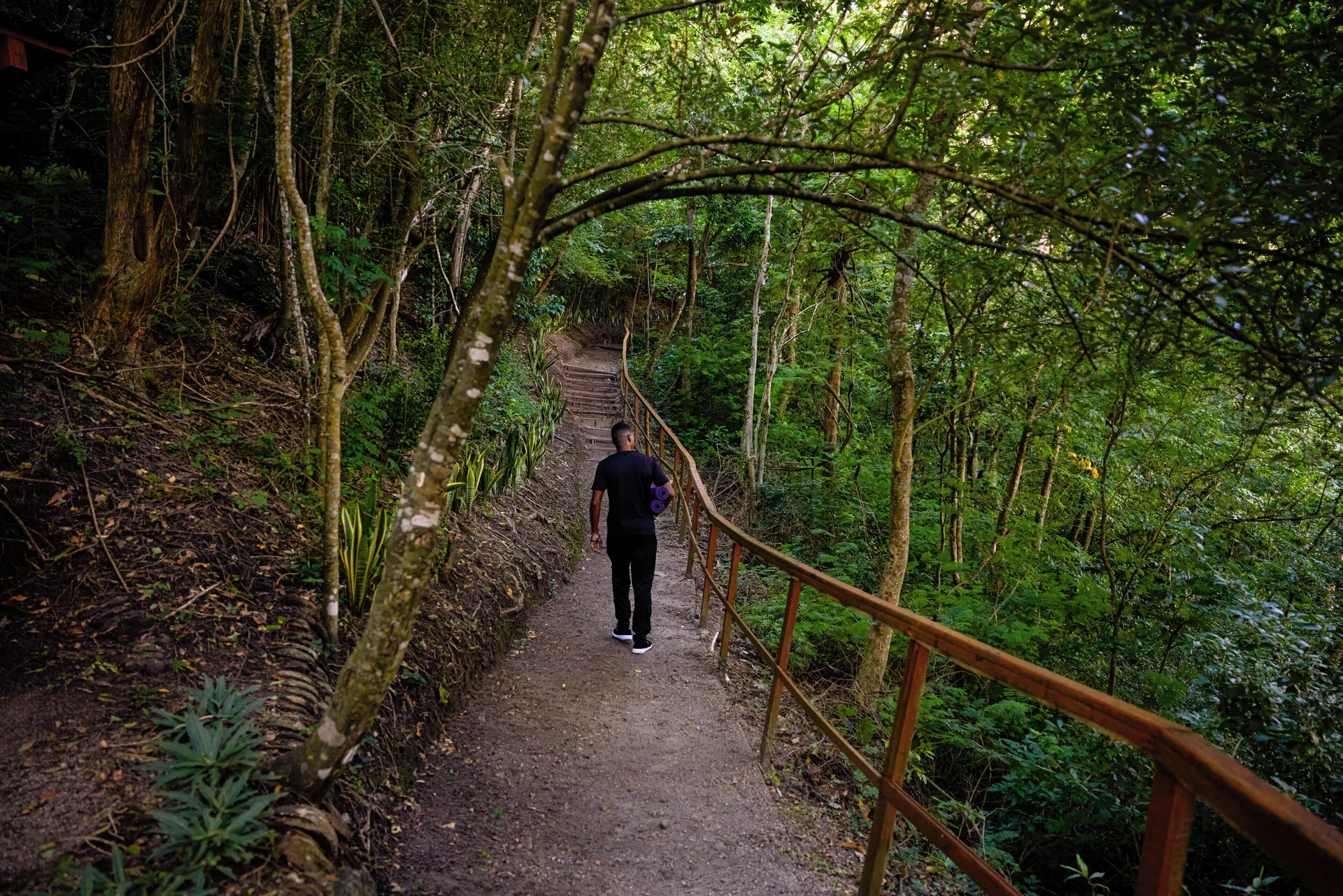 A guest walks along a forest trail with a wooden railing at Ladera Resort.