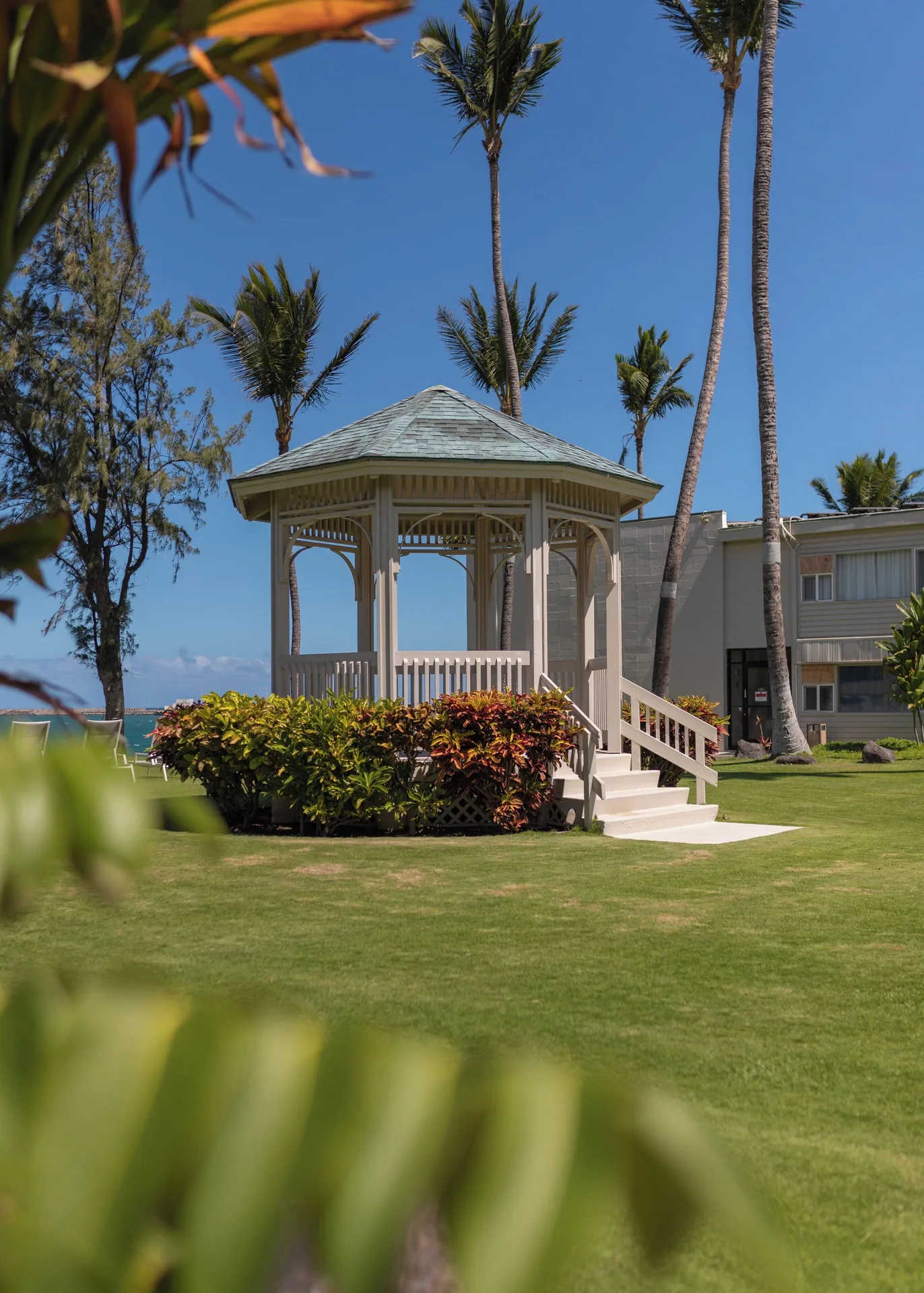 White gazebo on the lawn at Maui Beach Hotel surrounded by palms and shrubs.