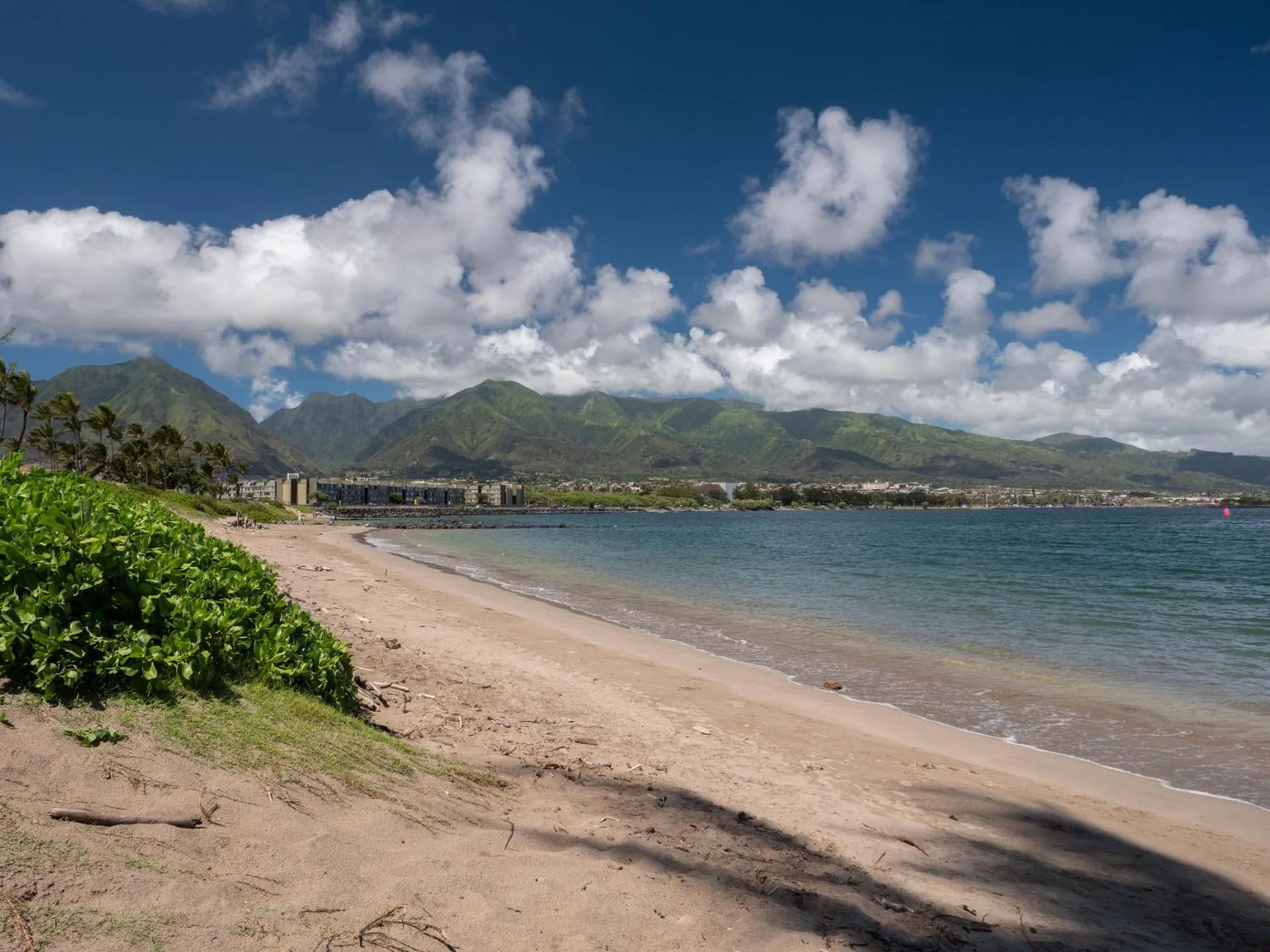 Sandy shoreline with ocean water, coastal greenery, and mountains near Maui Seaside Hotel.
