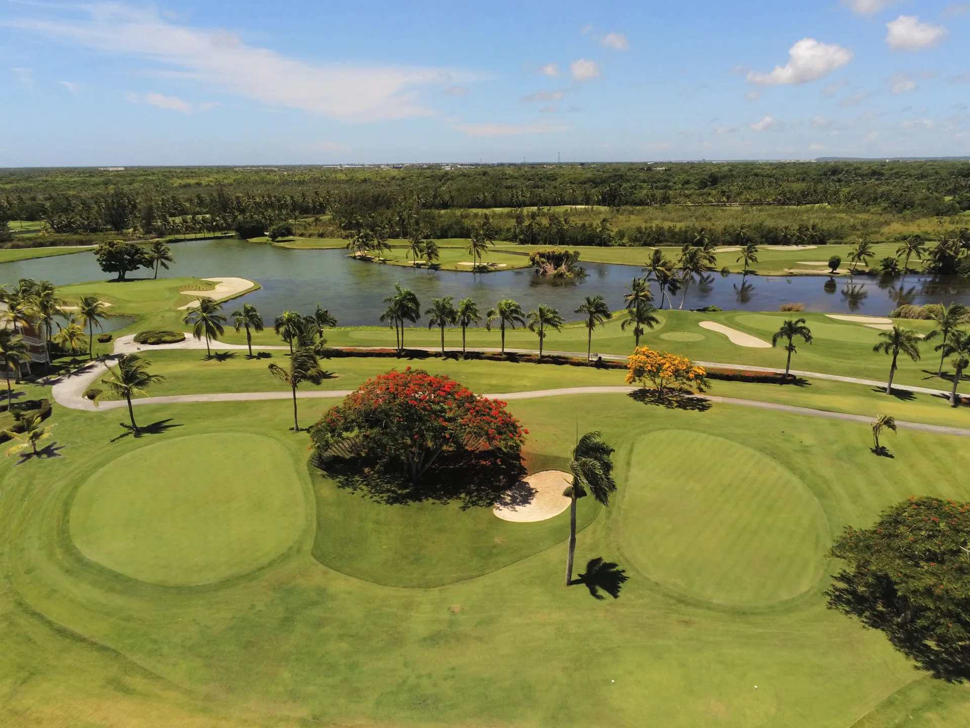 Aerial view of golf greens, palms, lakes, and fairways at Occidental Punta Cana.