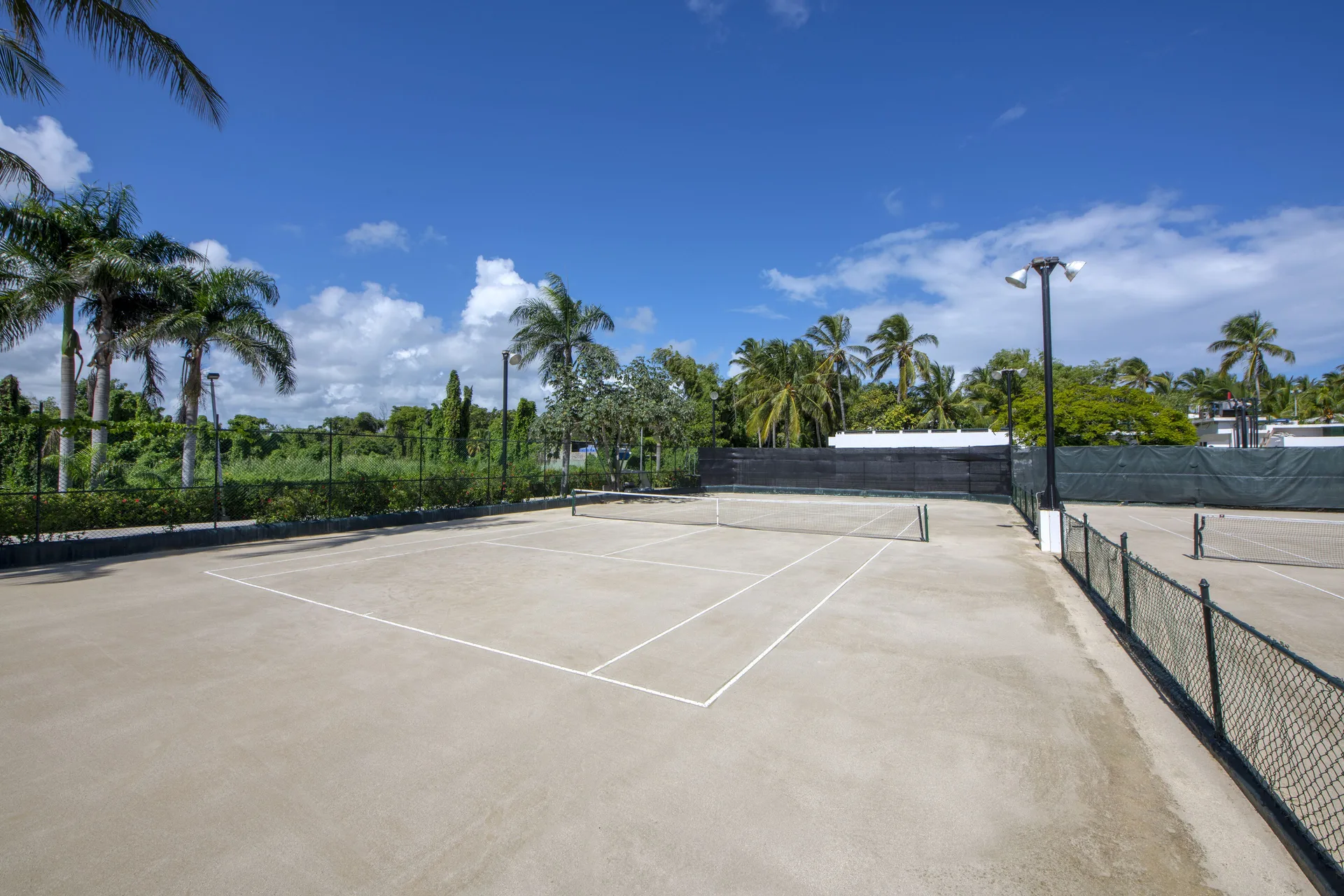 Outdoor tennis court with nets, fencing, palms, and blue sky at Occidental Punta Cana.