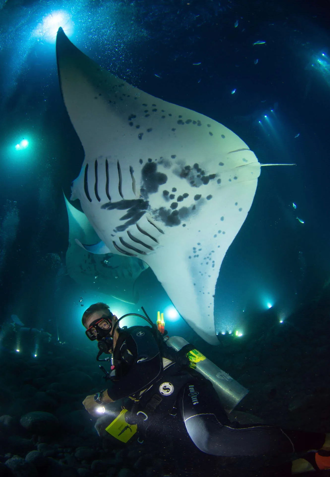 Scuba diver beneath a manta ray near Outrigger Kona Resort and Spa.