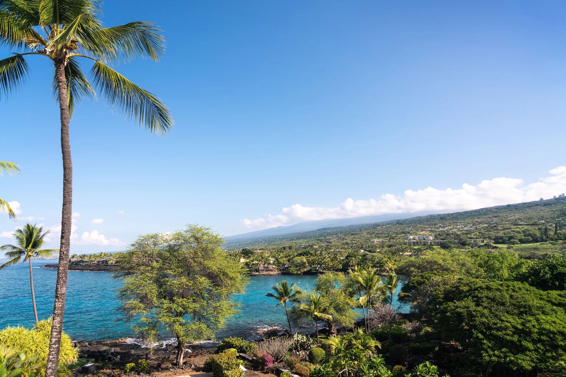 Ocean view with palms and coastline from a room at Outrigger Kona Resort and Spa.